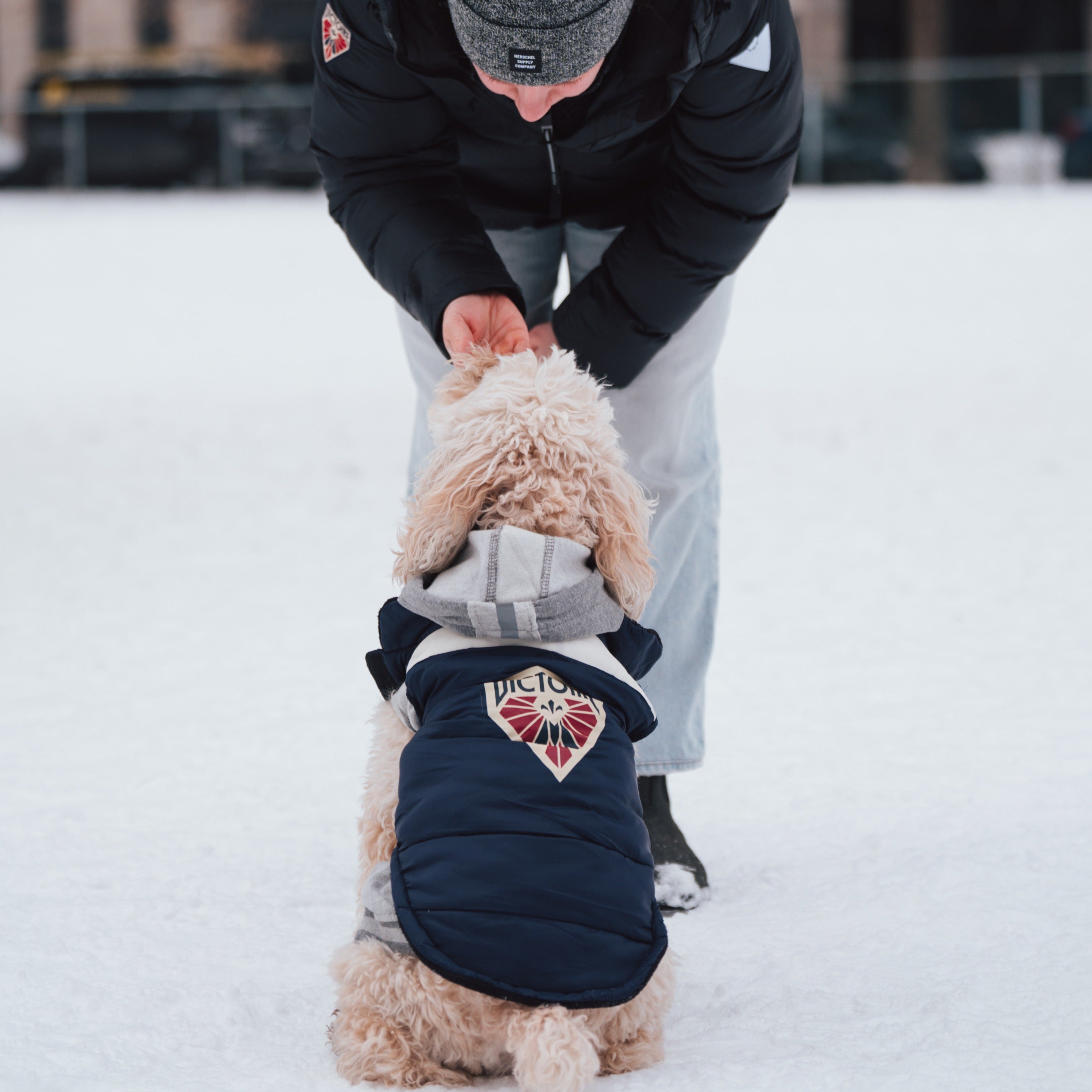Montreal Victoire Pet Parka Puff Vest - Pet in Navy