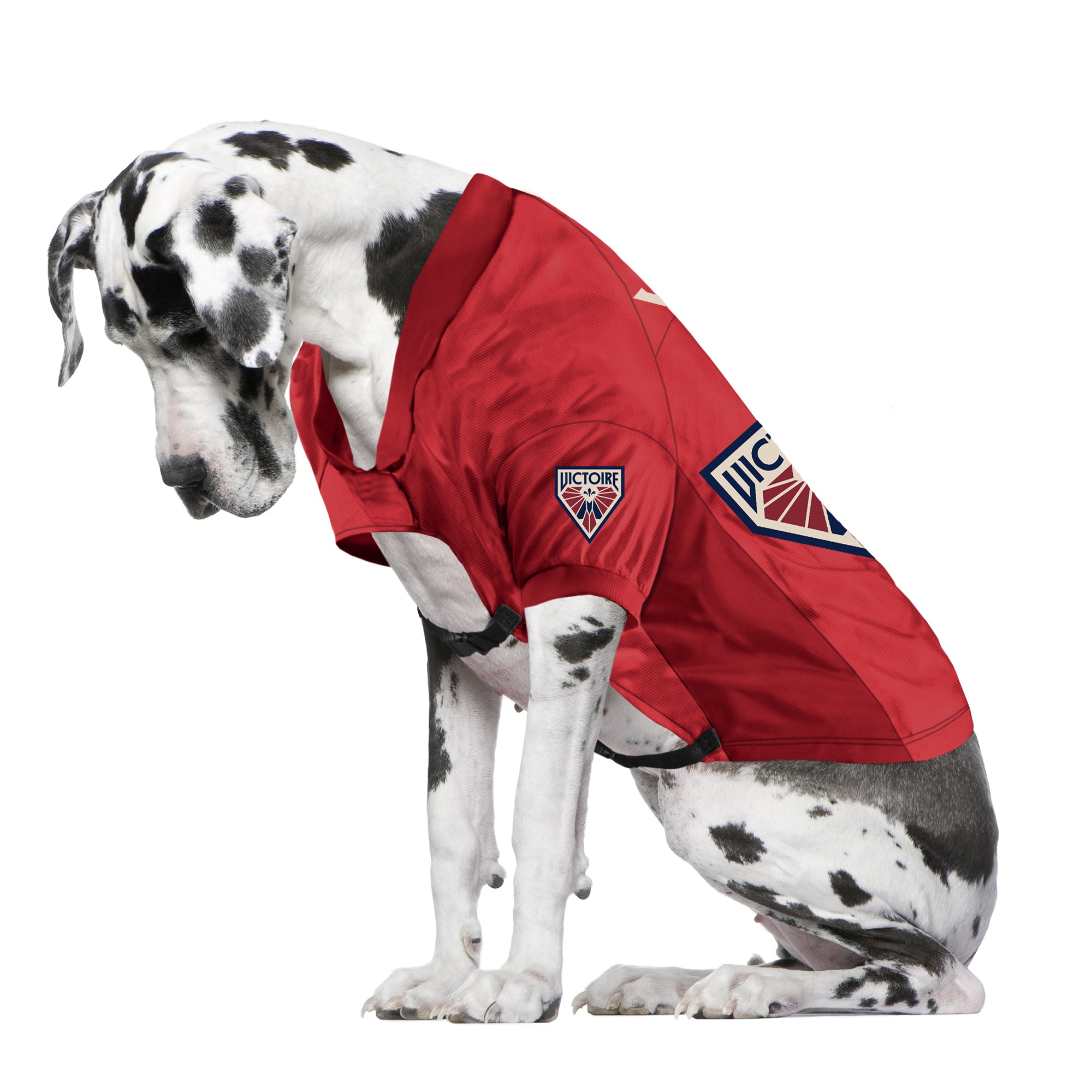 Montreal Victoire Big Dog Stretch Pet Jersey - Pet in Maroon