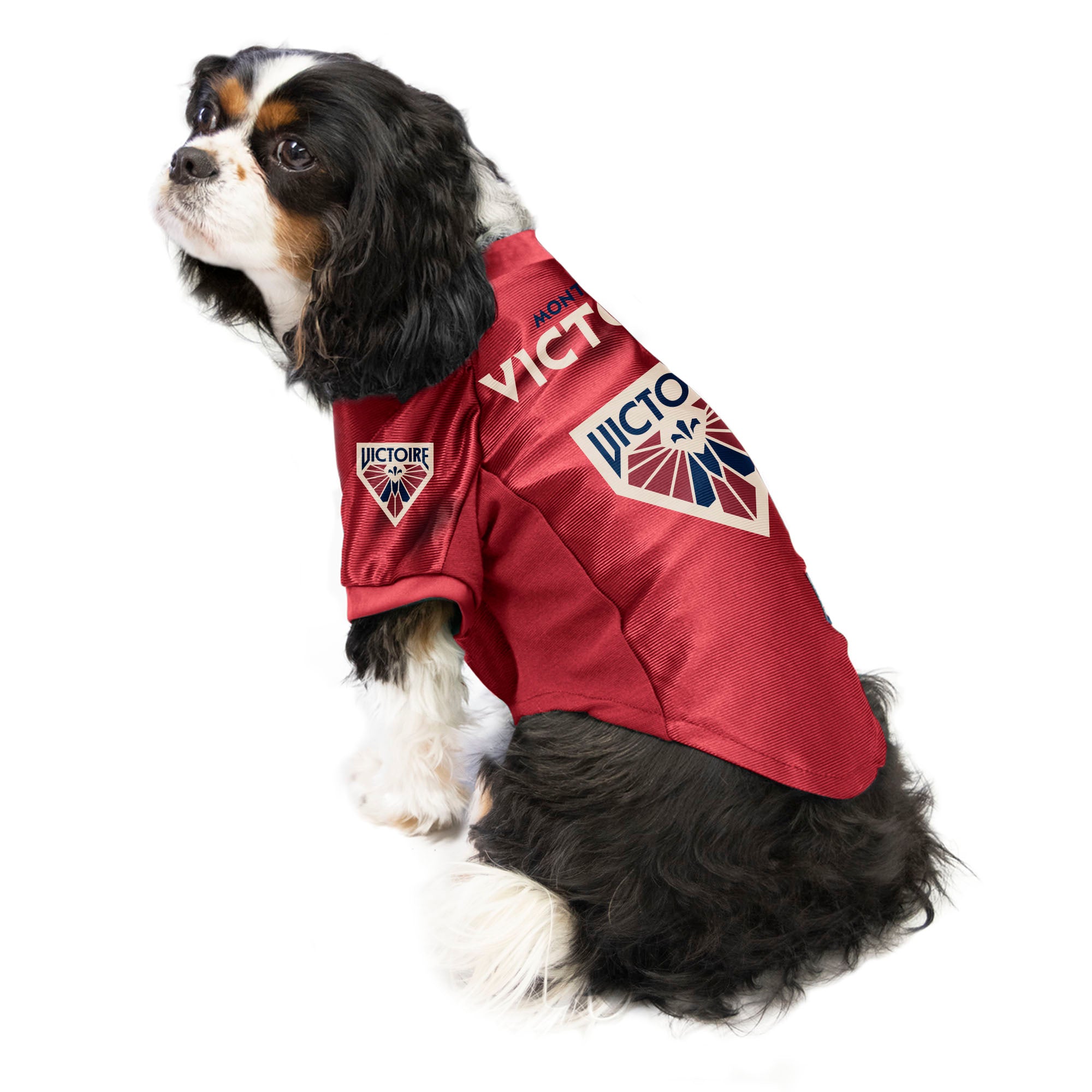 Montreal Victoire Stretch Pet Jersey - Pet in Maroon