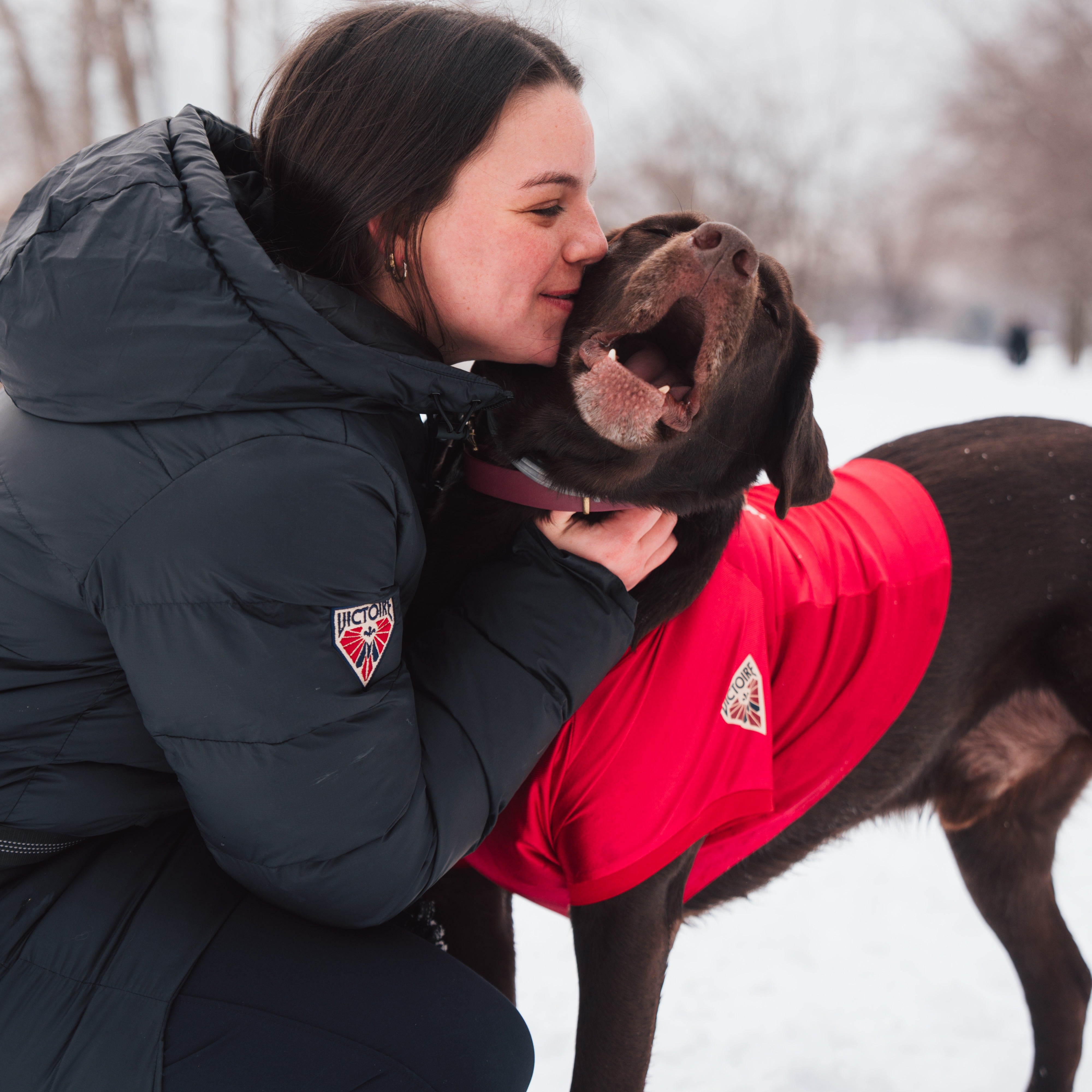 Montreal Victoire Stretch Pet Jersey