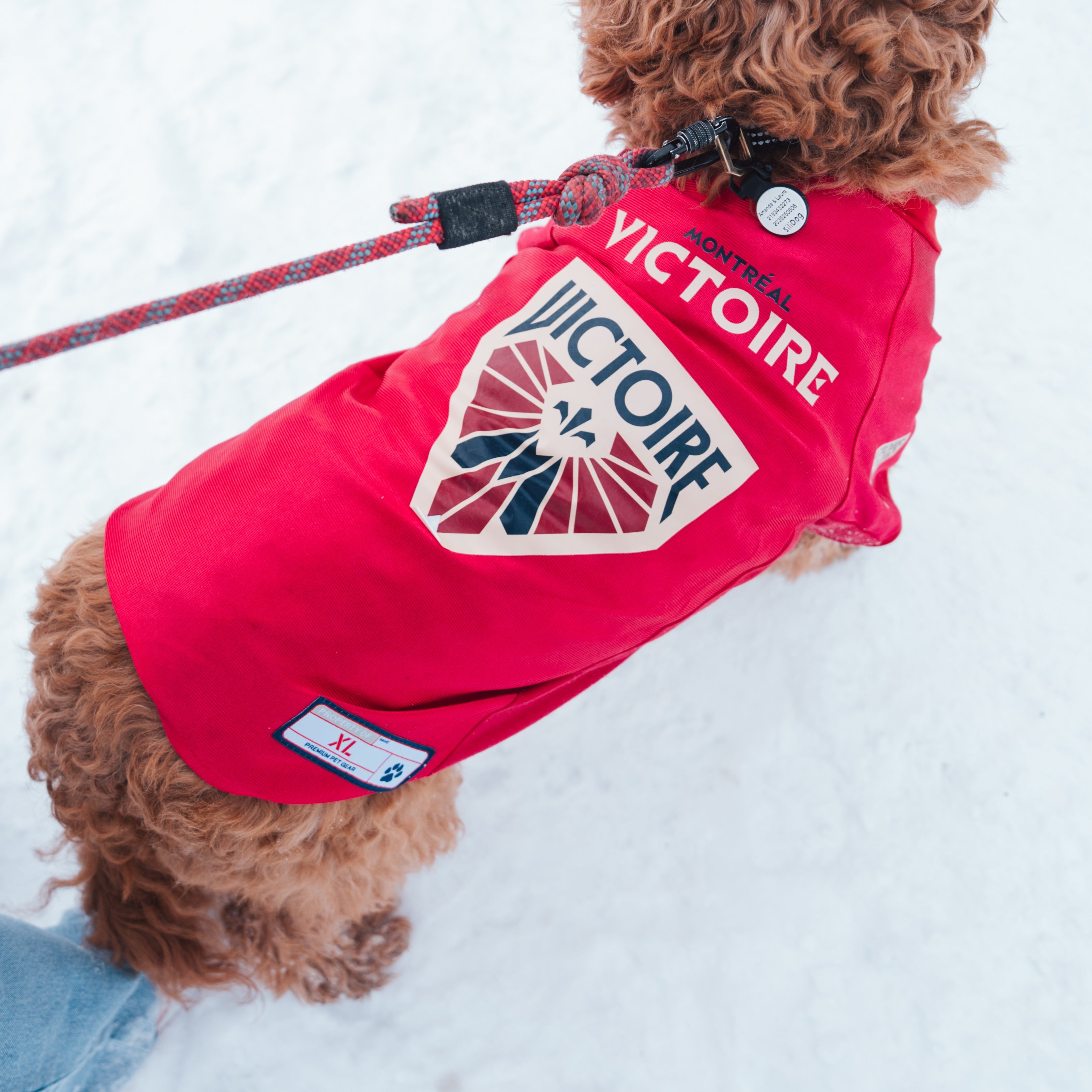 Montreal Victoire Stretch Pet Jersey - Pet in Maroon