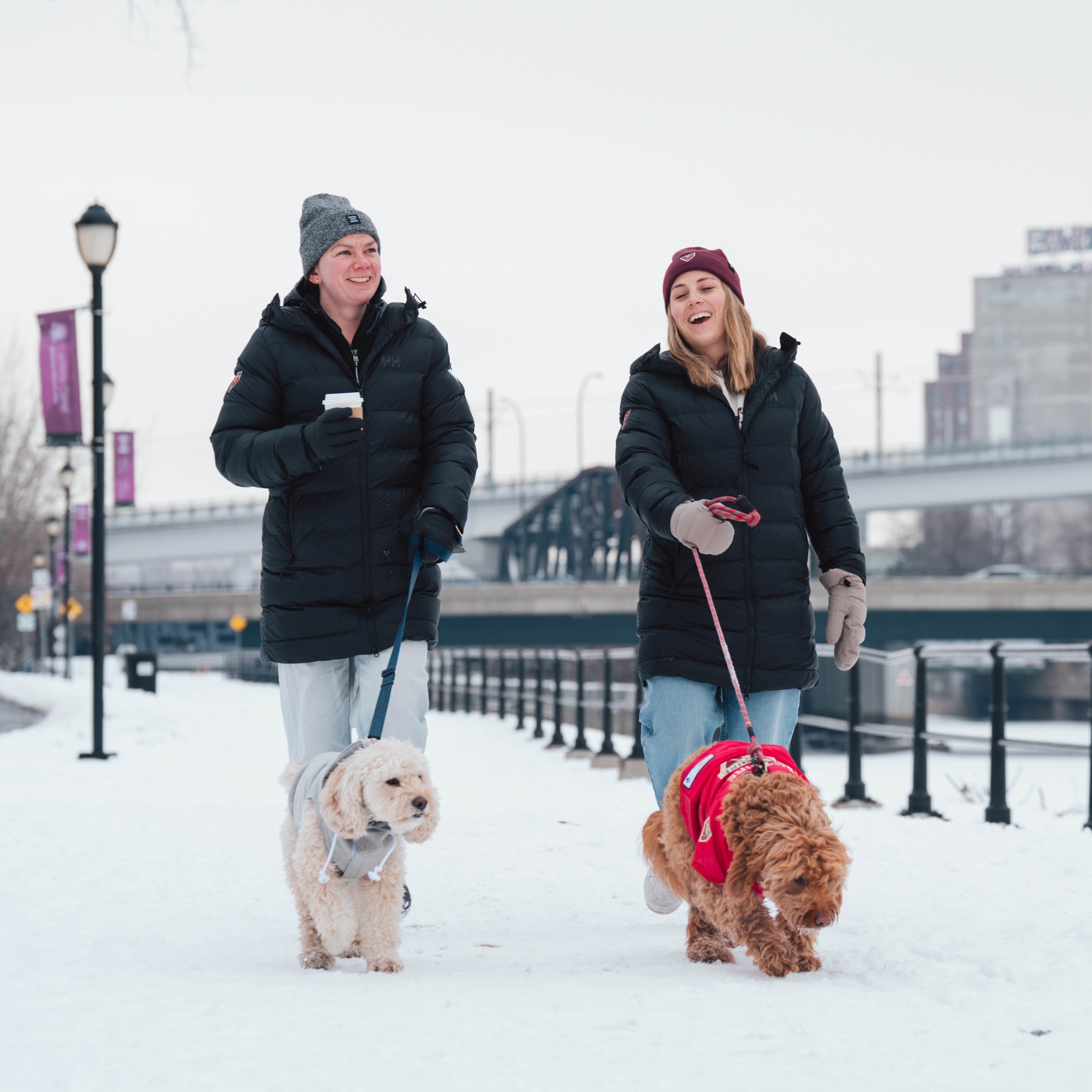 Montreal Victoire Stretch Pet Jersey - Pet in Maroon