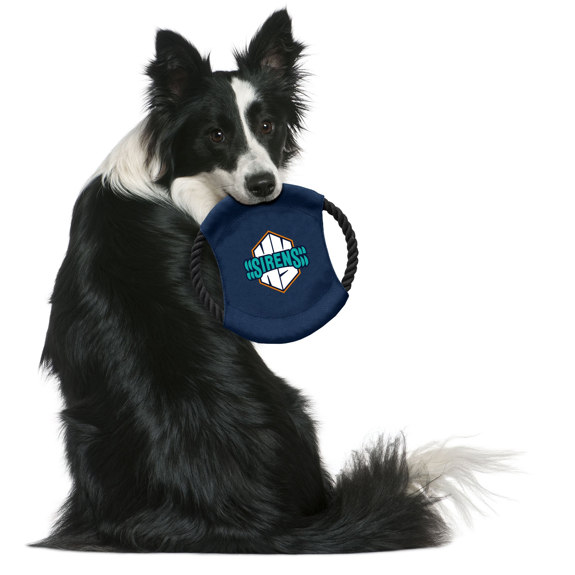 New York Sirens Flying Disc Pet Toy - Pet in Navy