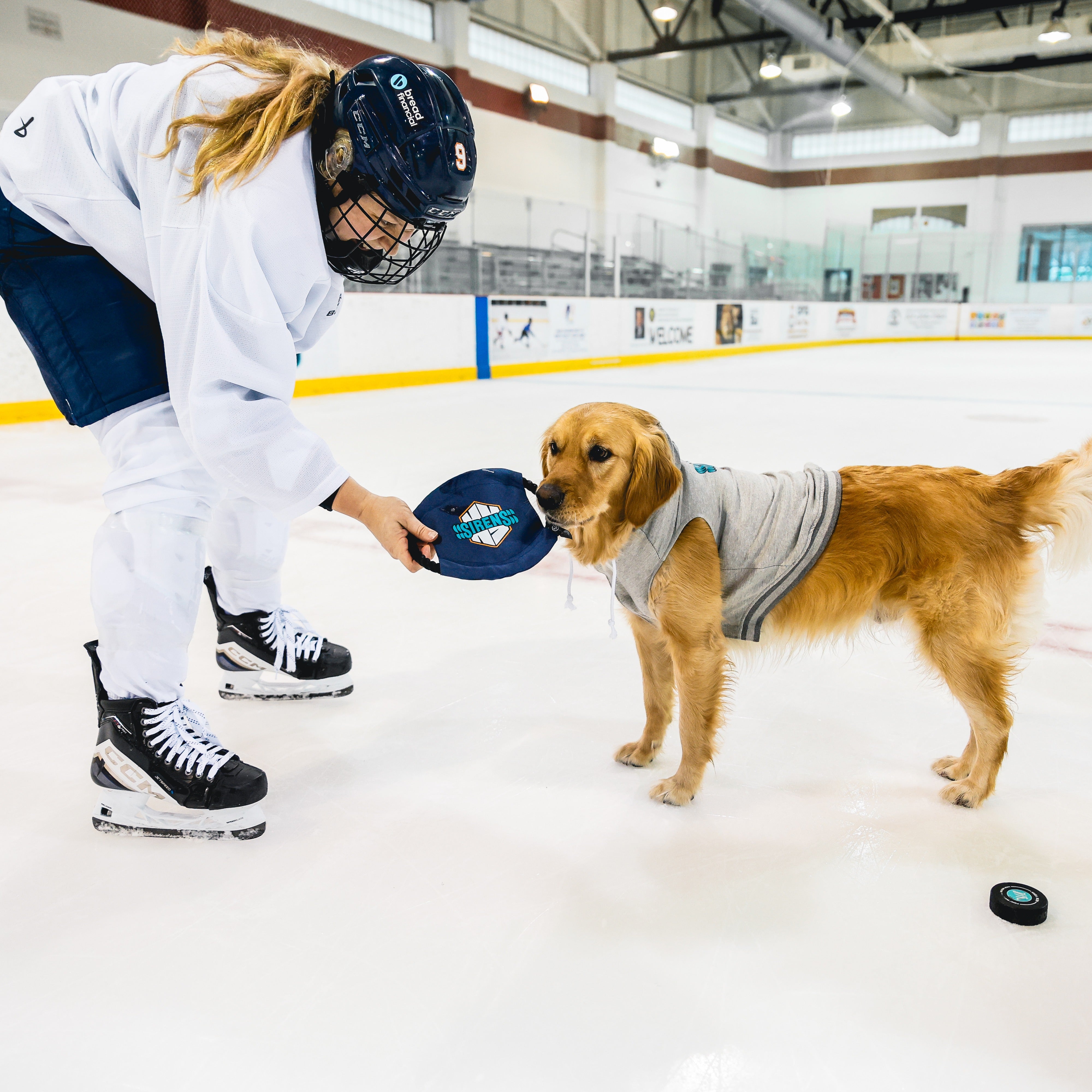 New York Sirens Flying Disc Pet Toy - Pet in Navy