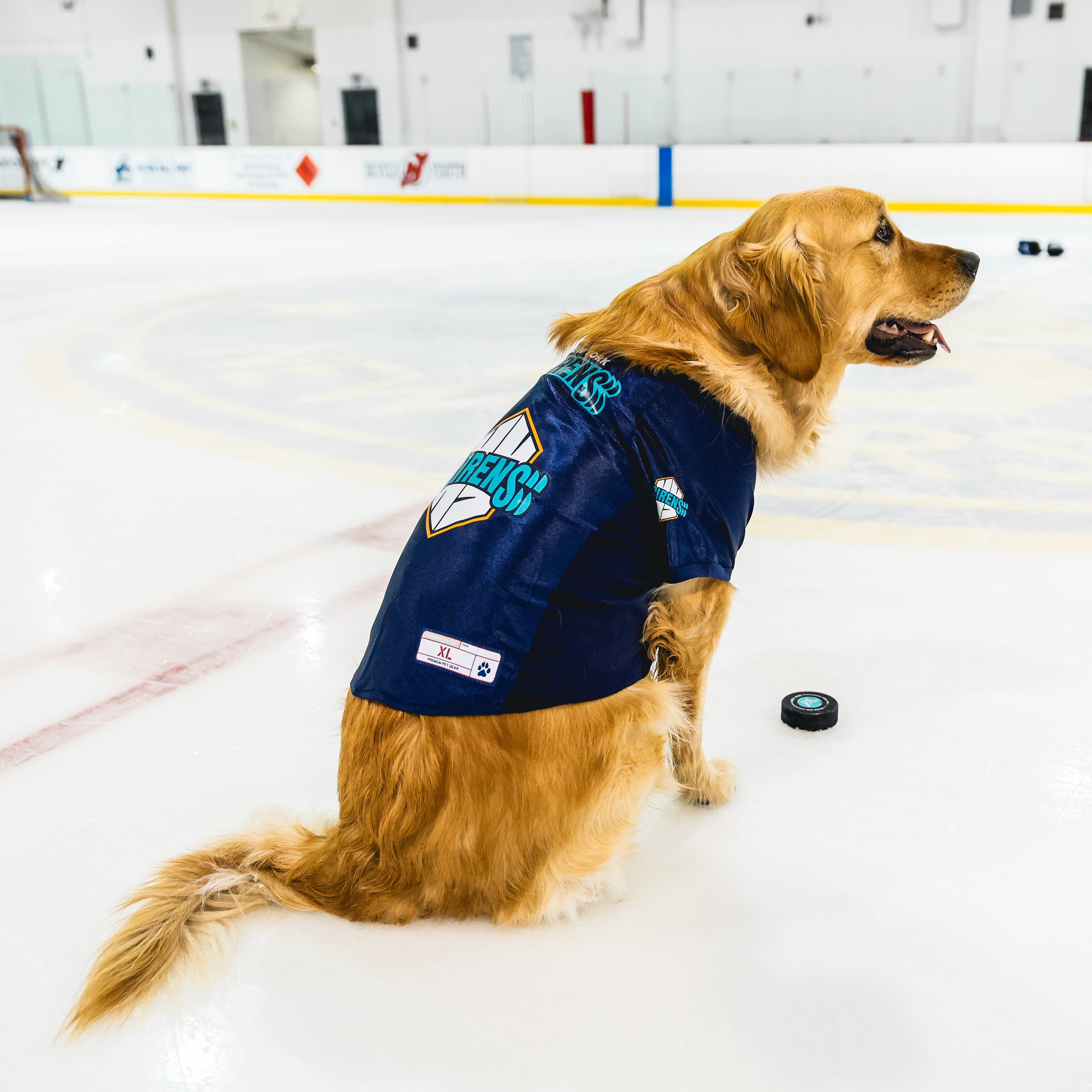 New York Sirens Stretch Pet Jersey - Pet in Navy