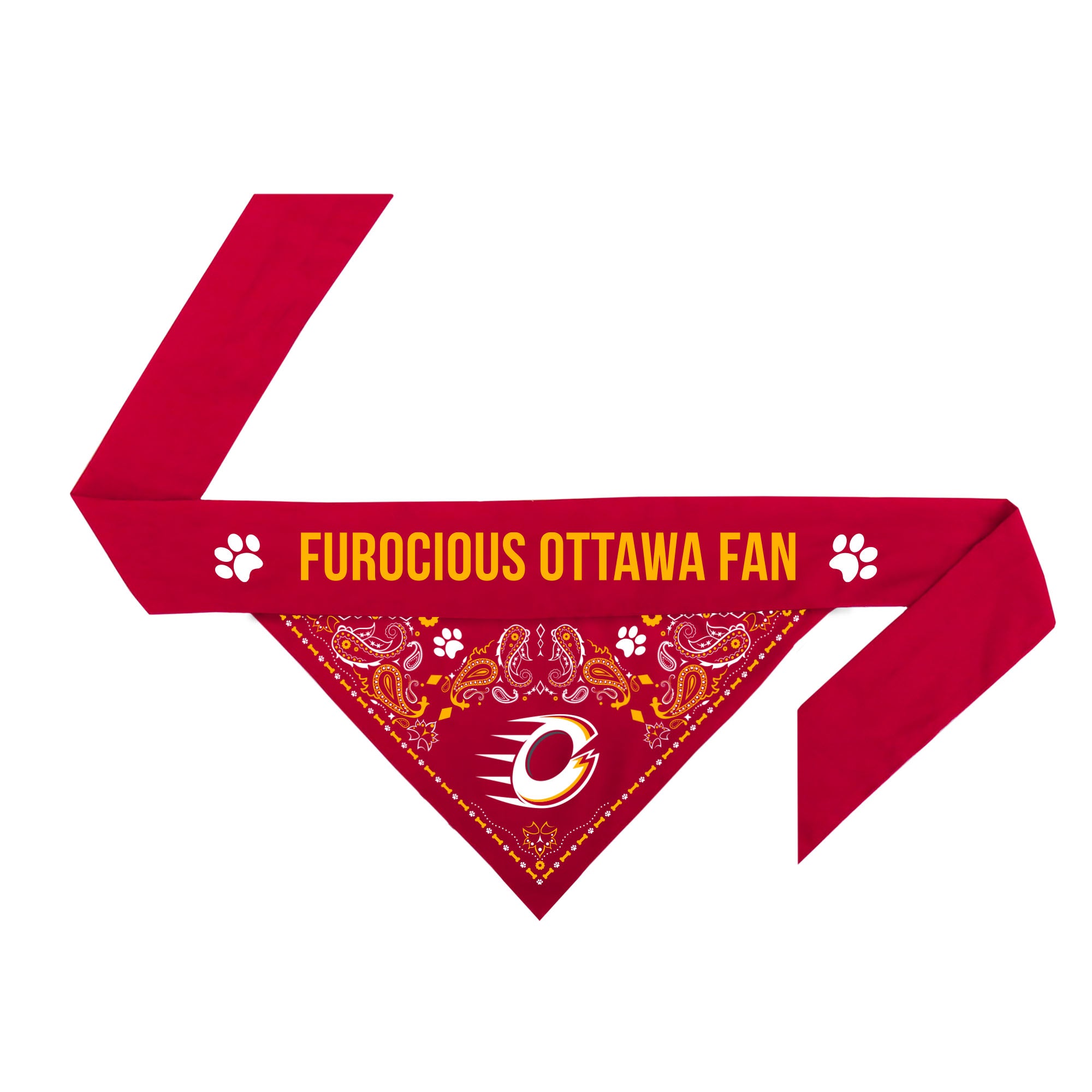 Ottawa Charge Reversible Pet Bandana - Pet in XS