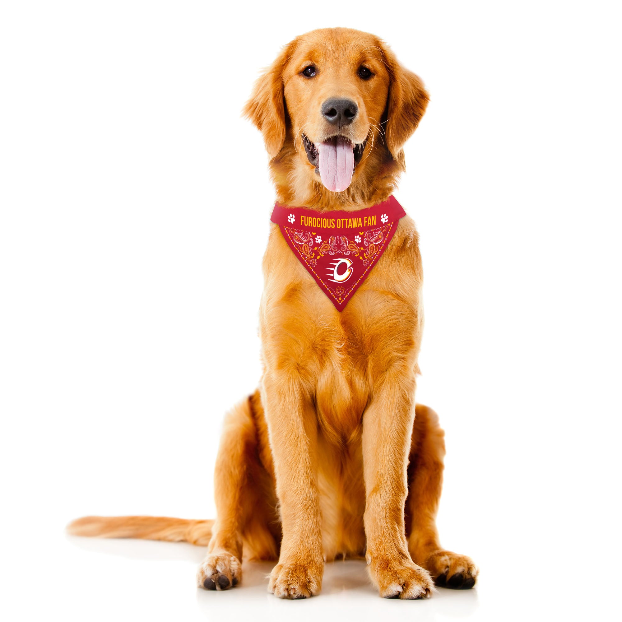 Ottawa Charge Reversible Pet Bandana - Pet in XS