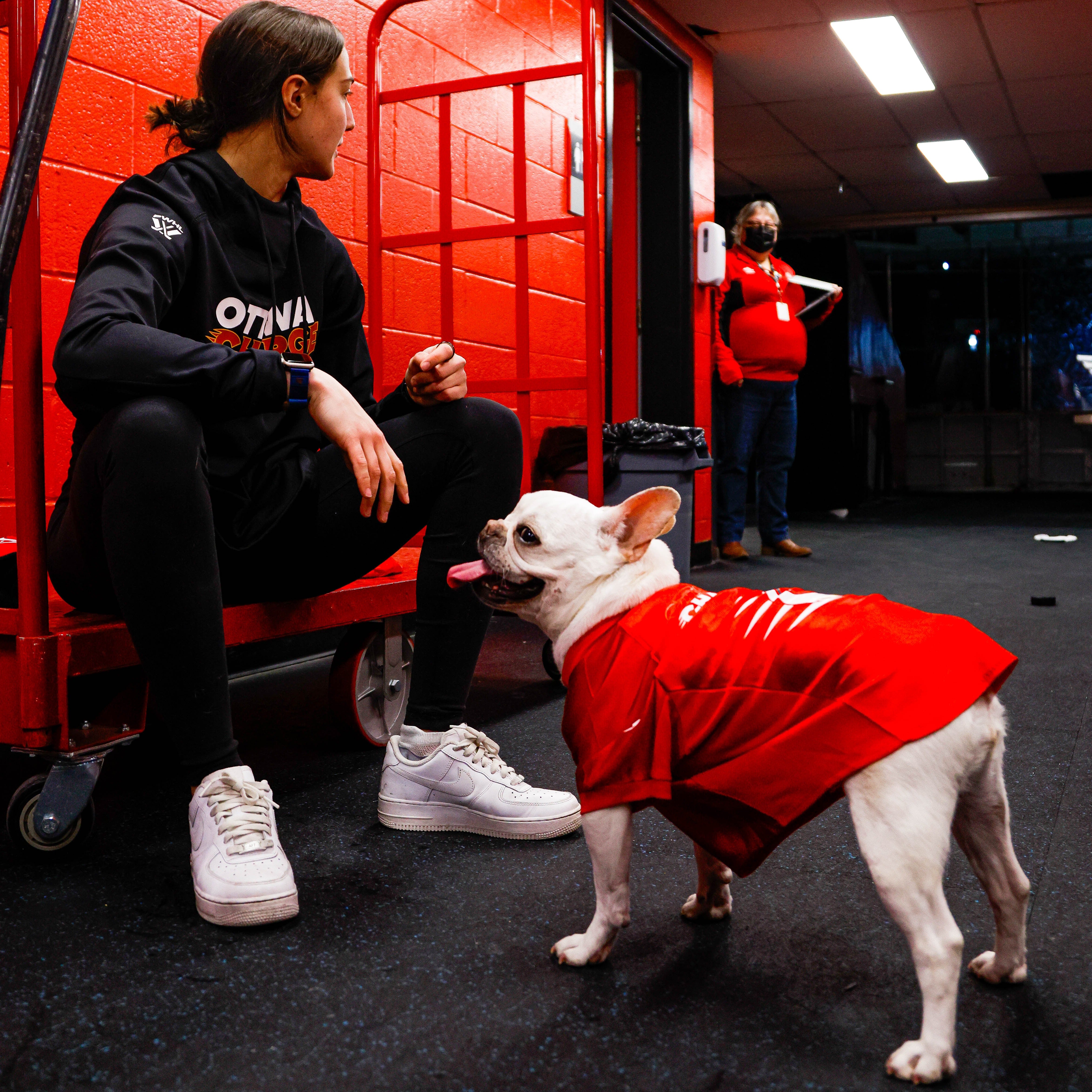 Ottawa Charge Stretch Pet Jersey - Pet in Red