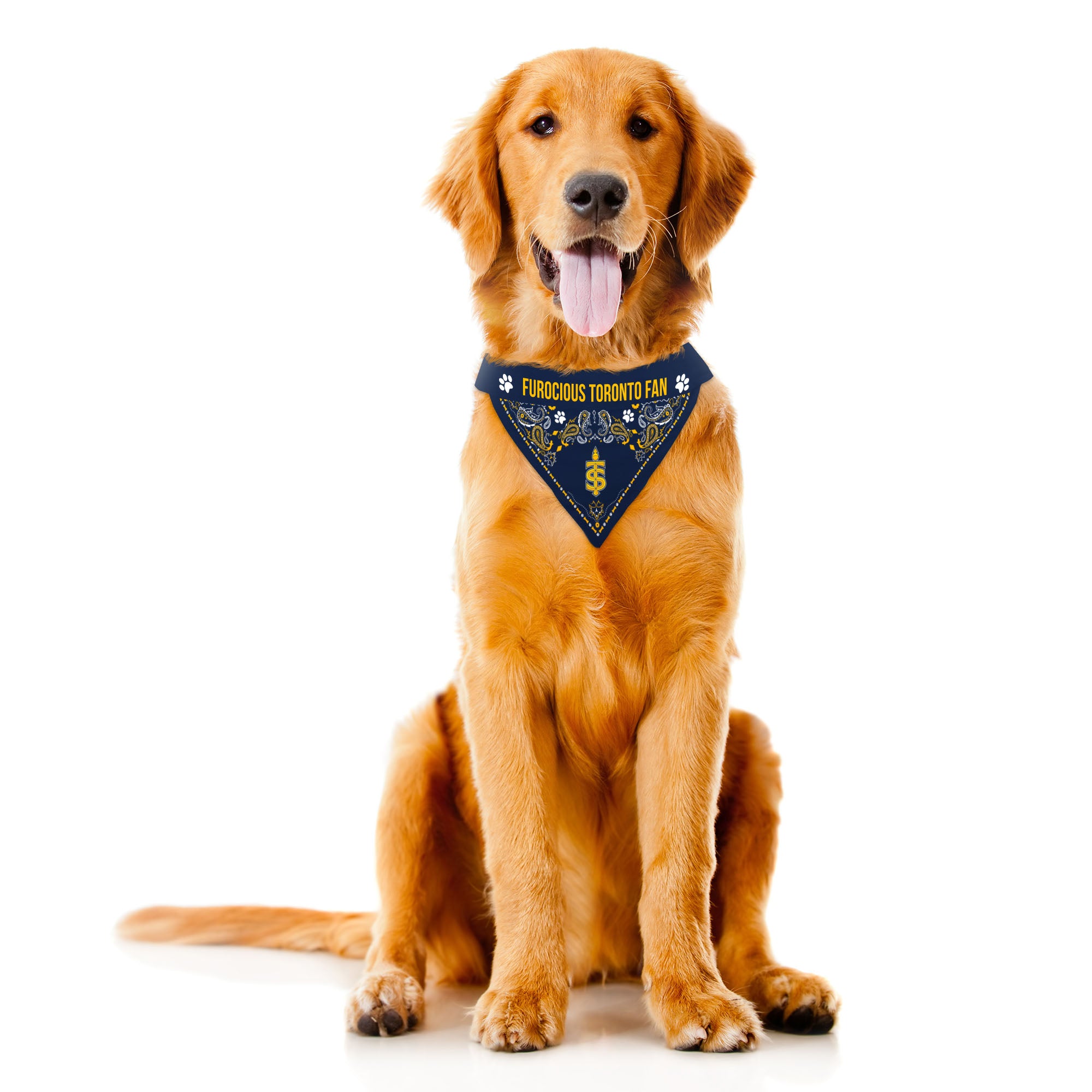 Toronto Sceptres Reversible Pet Bandana - Pet in XS