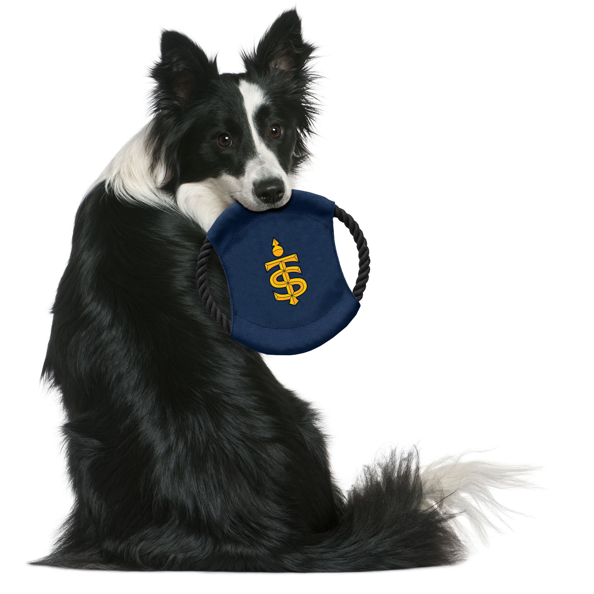 Toronto Sceptres Flying Disc Pet Toy - Pet in Navy