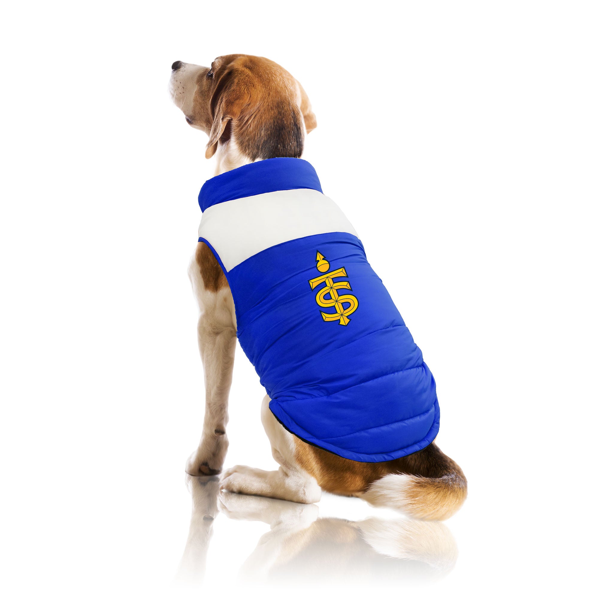 Toronto Sceptres Pet Parka Puff Vest - Pet in Blue