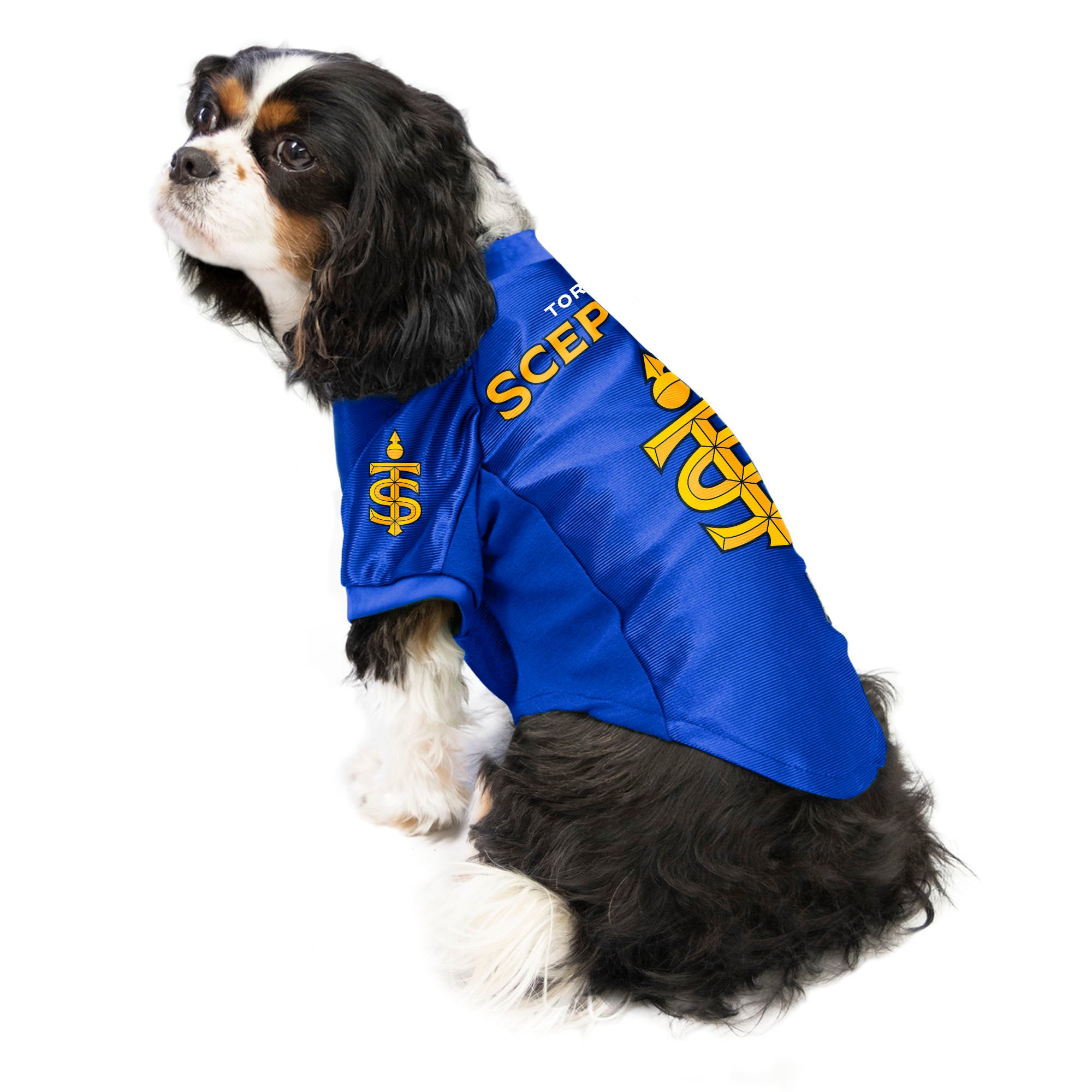 Toronto Sceptres Stretch Pet Jersey - Pet in Blue