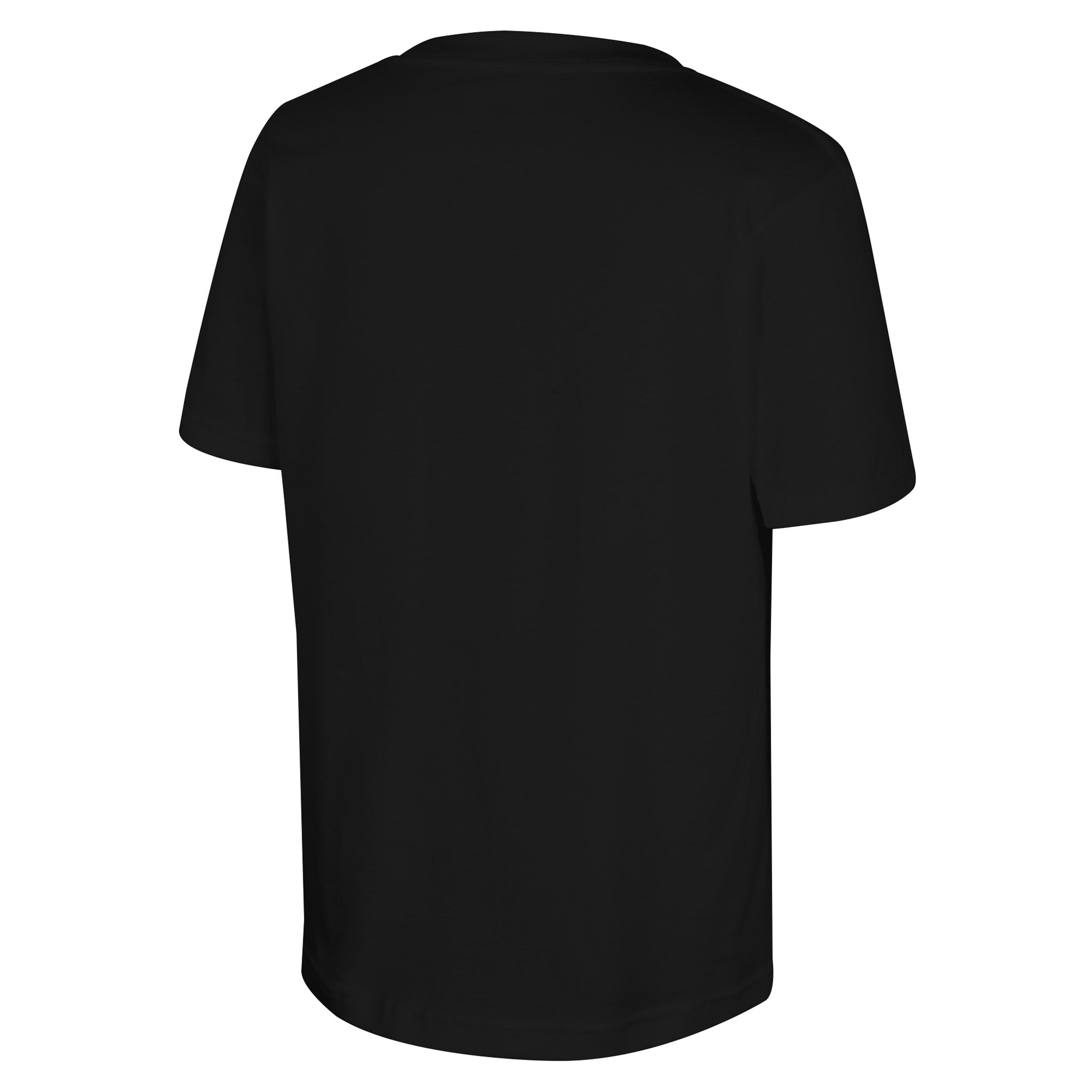 Youth PWHL Detroit Stadium Essentials Gotcha T-Shirt - T-Shirt in S