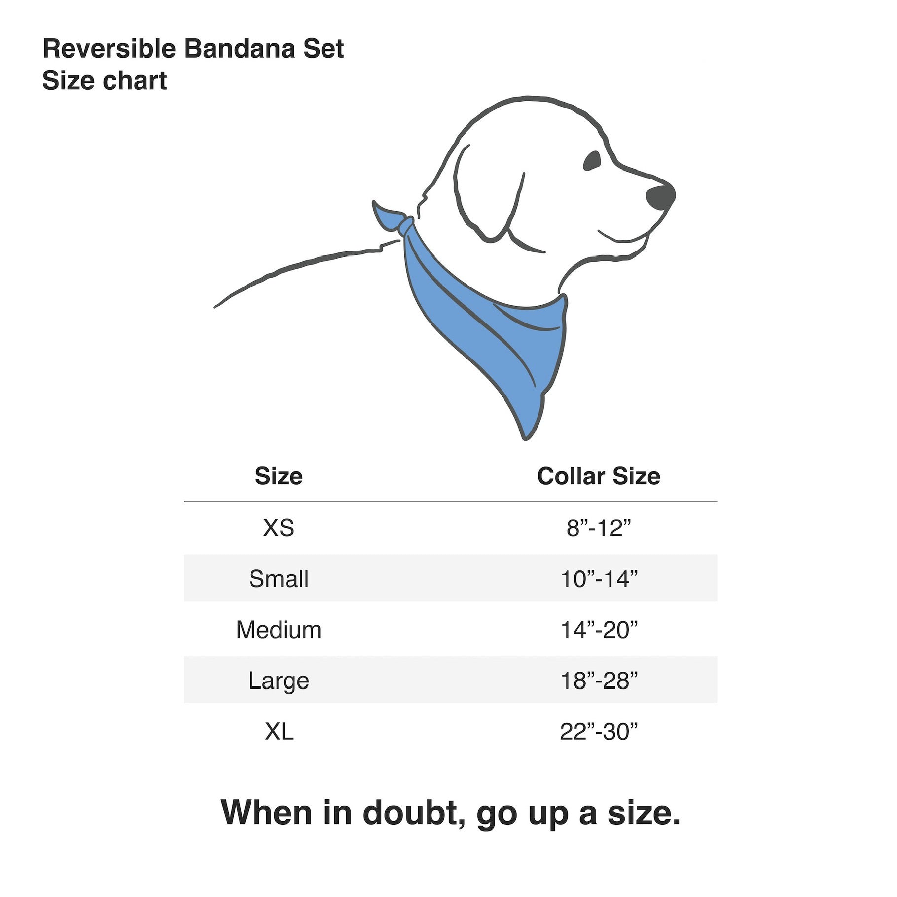 Ottawa Charge Reversible Pet Bandana - Pet in XS